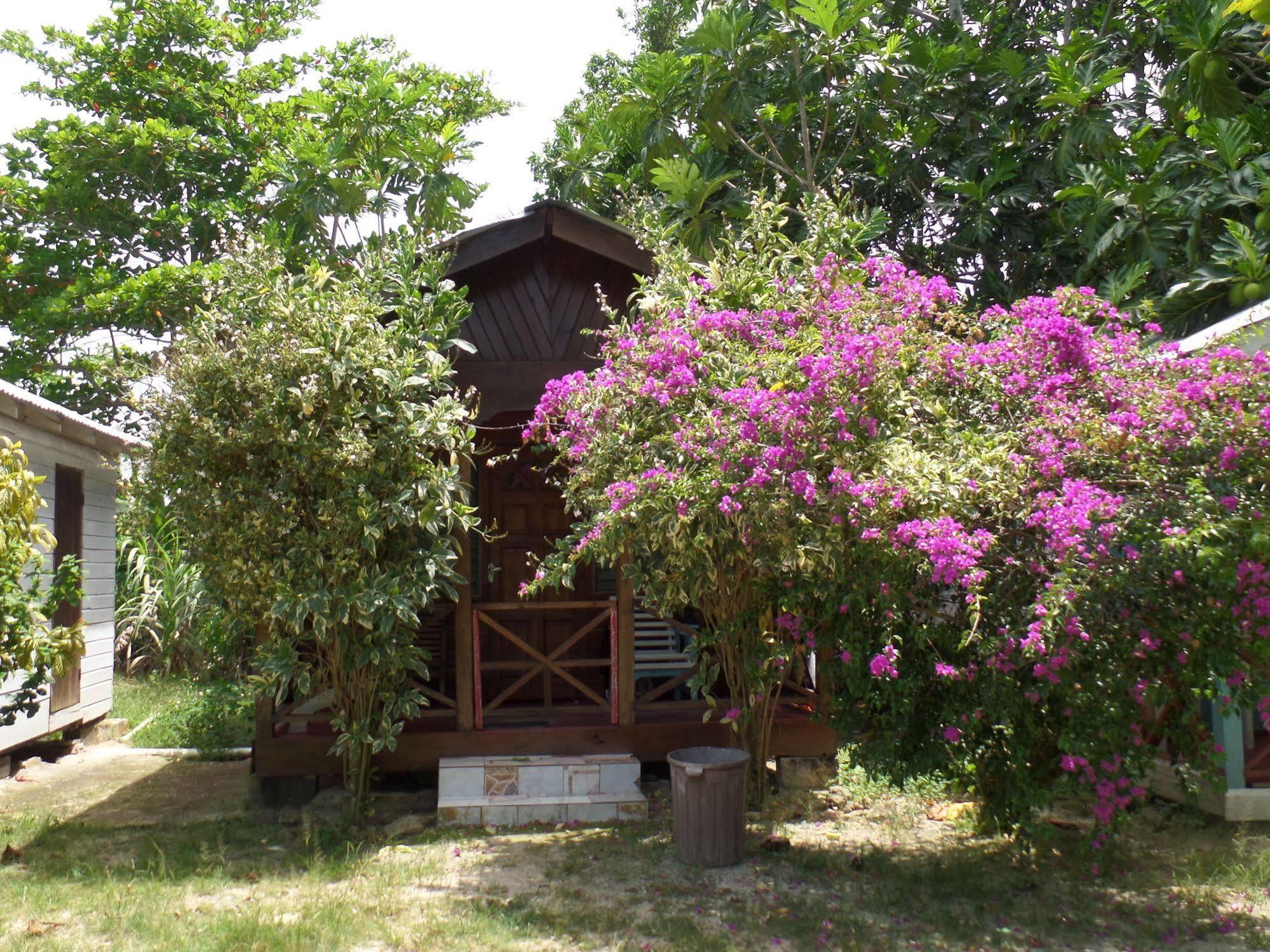 Beach Road Cottages At Jah Bs Negril Buitenkant foto