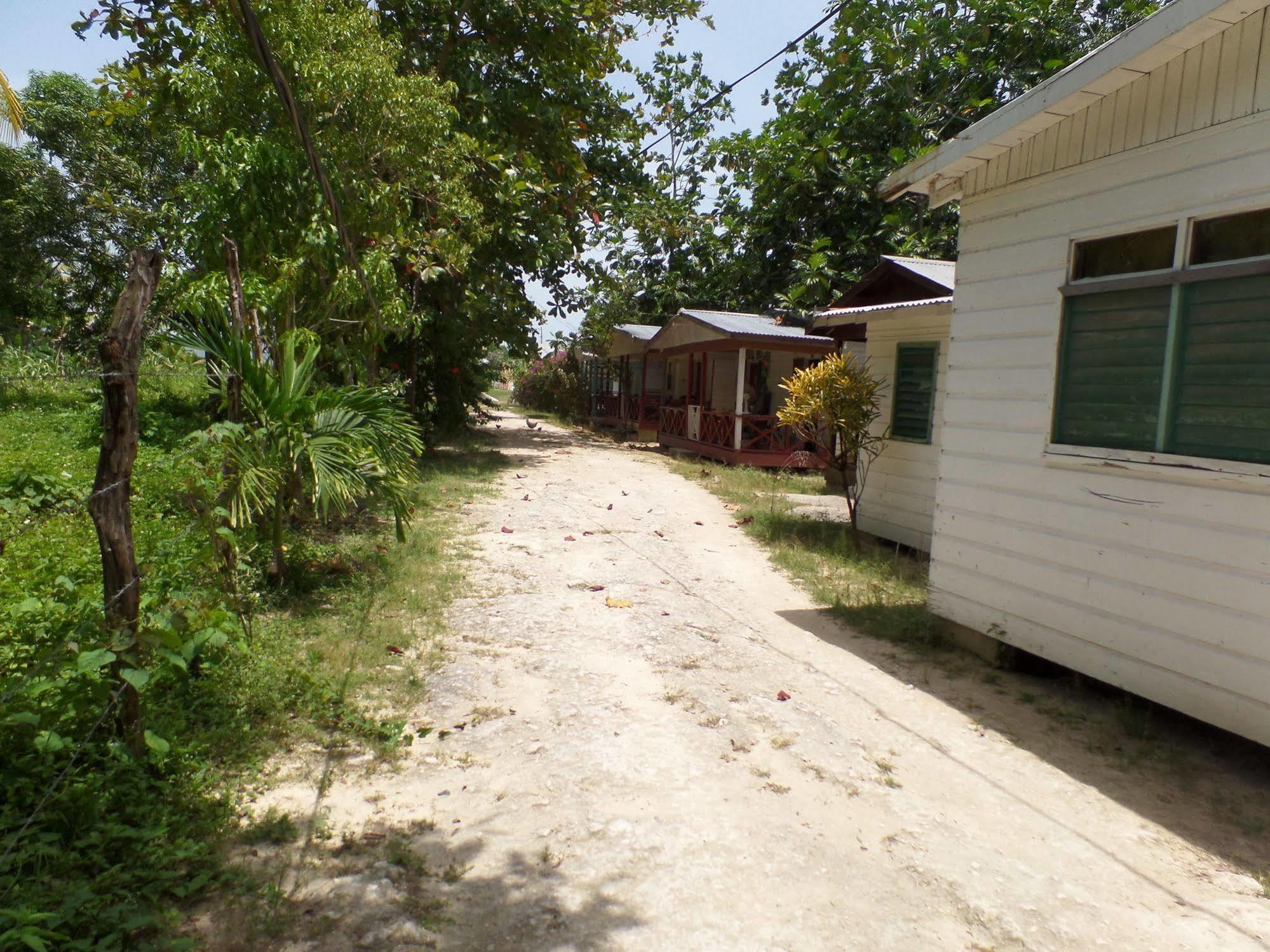 Beach Road Cottages At Jah Bs Negril Buitenkant foto